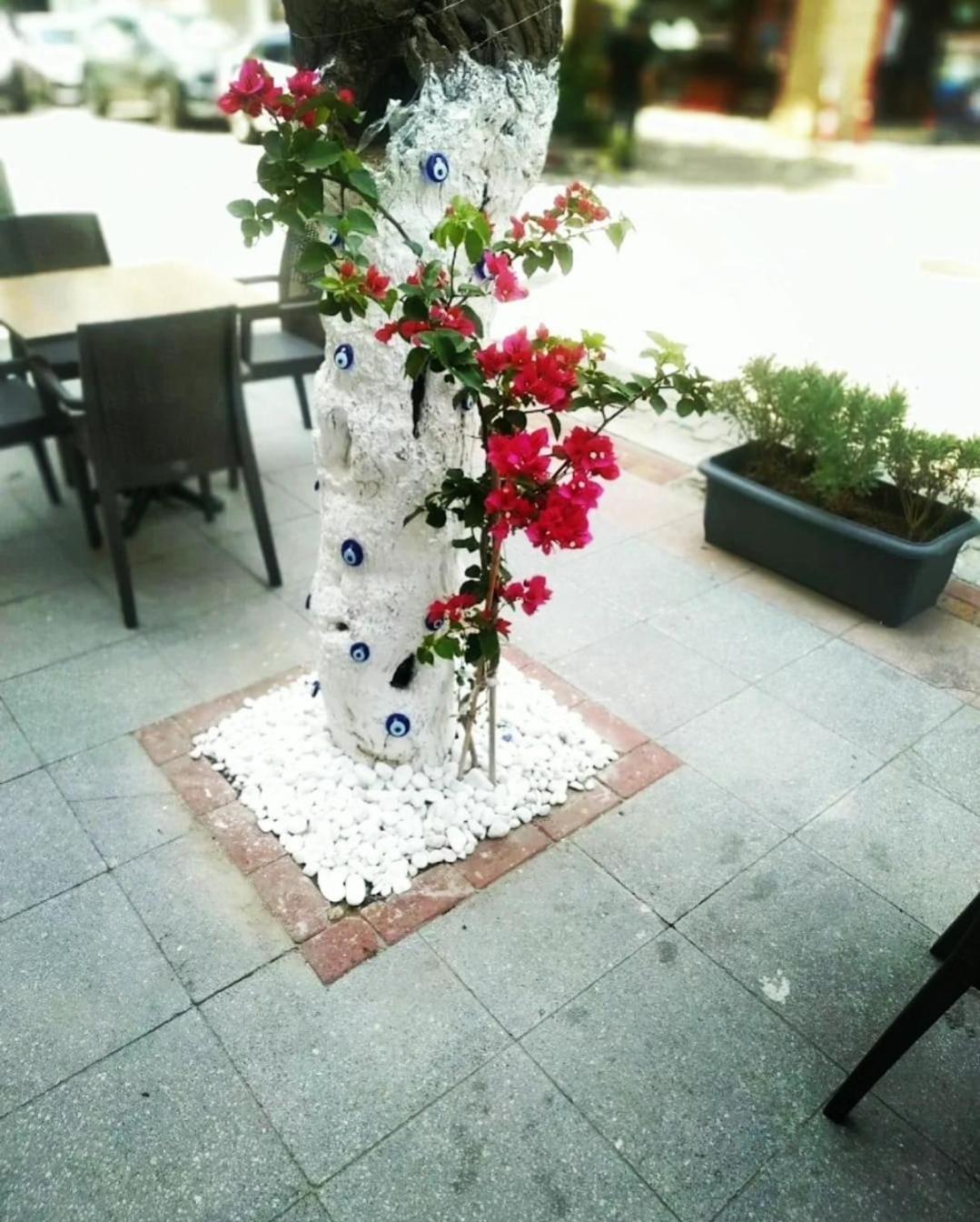 Punta Vista Hotel إزمير المظهر الخارجي الصورة